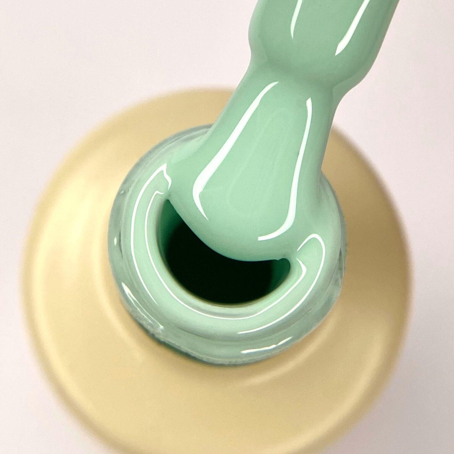 Гель лак N.Z. the gel polish 31, 6 мл