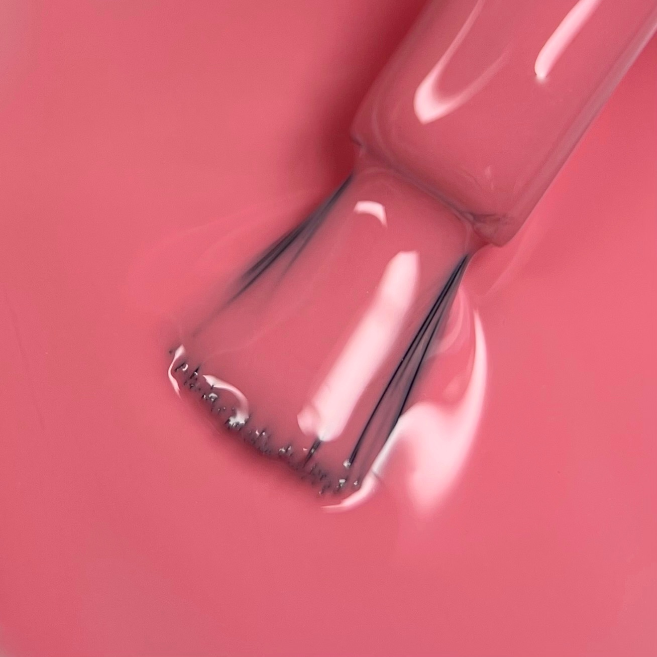 Гель лак N.Z. the gel polish 05, 6мл