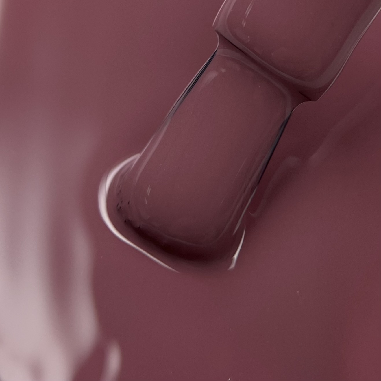 Гель лак N.Z. the gel polish 06, 6мл