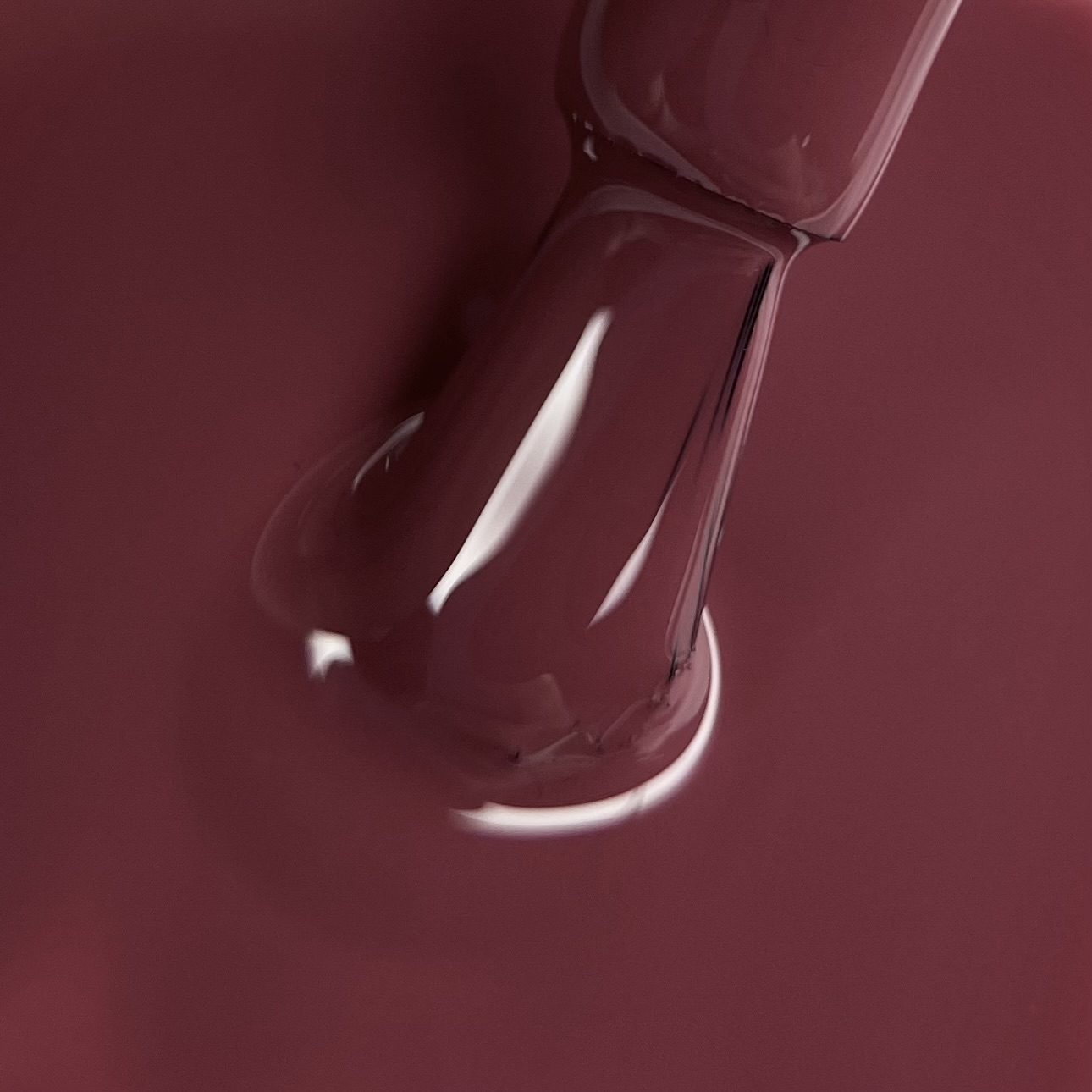 Гель лак N.Z. the gel polish 14, 6 мл