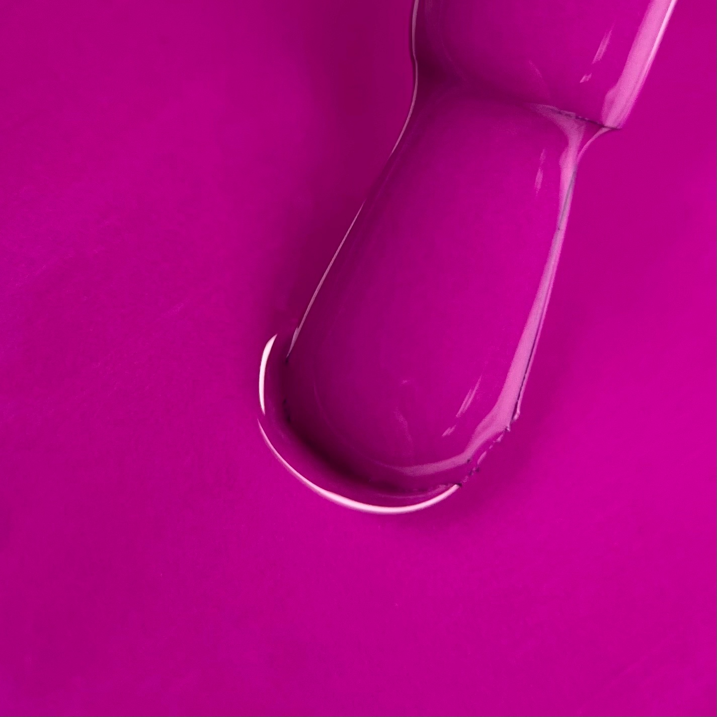 Гель лак N.Z. the gel polish 19, 6 мл