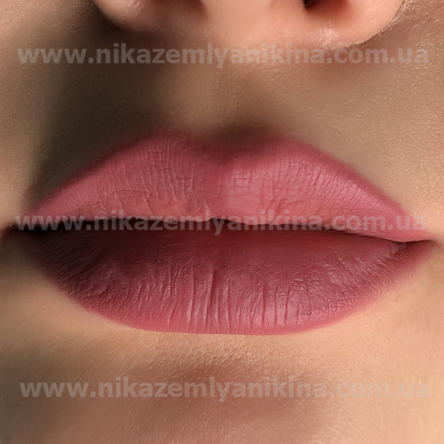 Олівець для губ Lip Pencil Nika Zemlyanikina 03