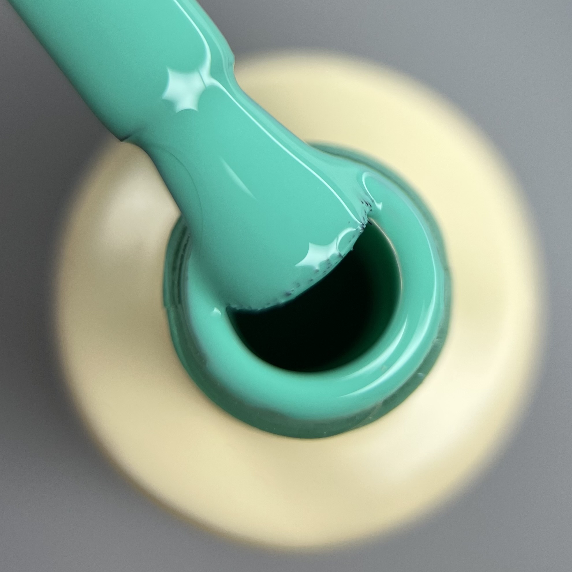 Гель лак N.Z. the gel polish 79, 6 мл