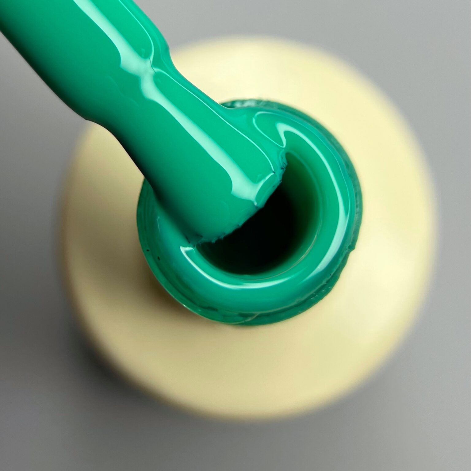 Гель лак N.Z. the gel polish 81, 6 мл