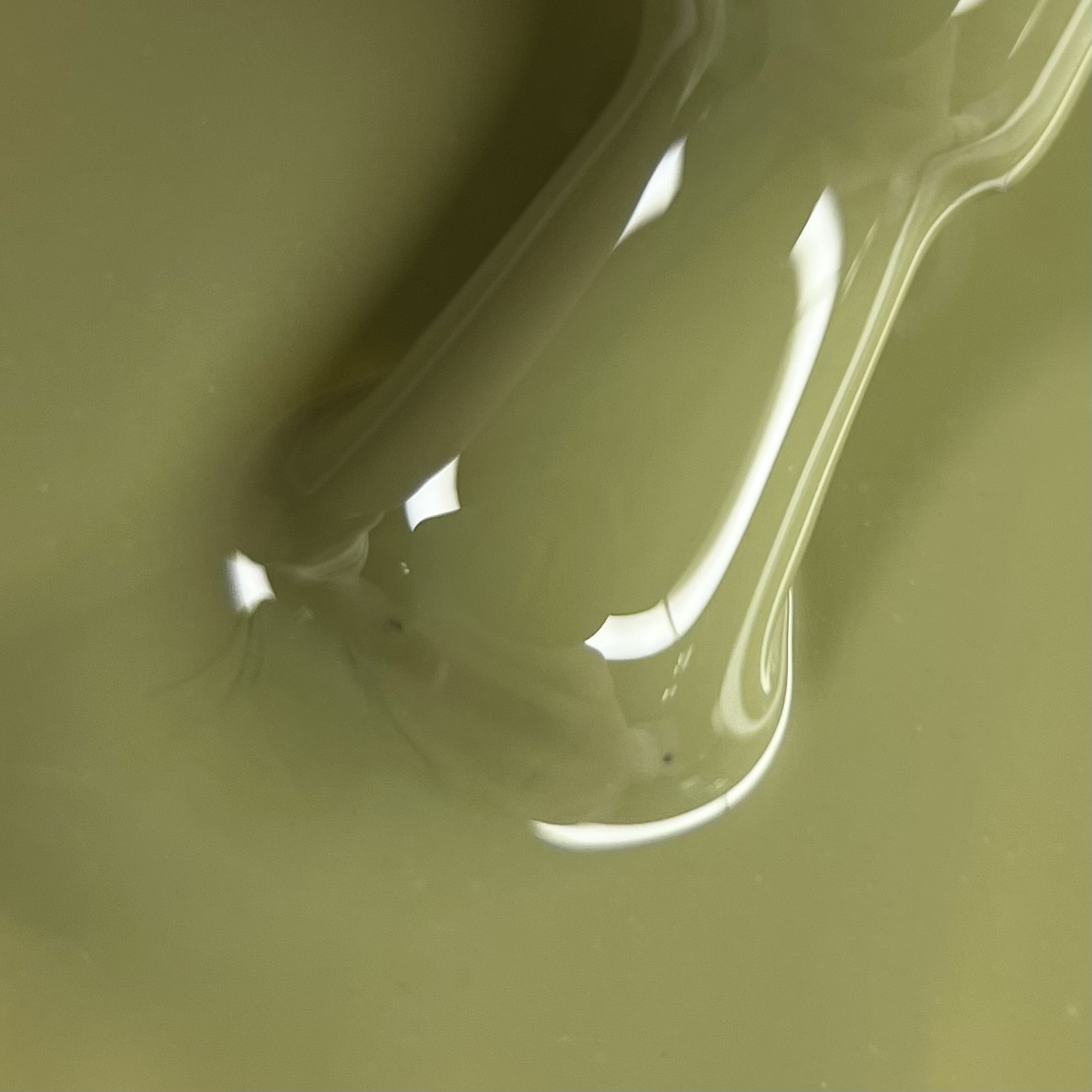 Гель лак N.Z. the gel polish 98, 6 мл