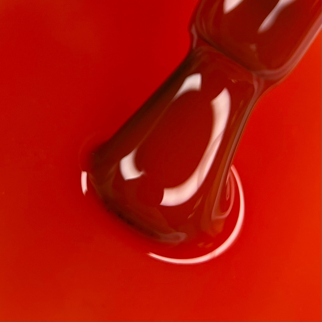 Гель лак N.Z. the gel polish 107, 6 мл