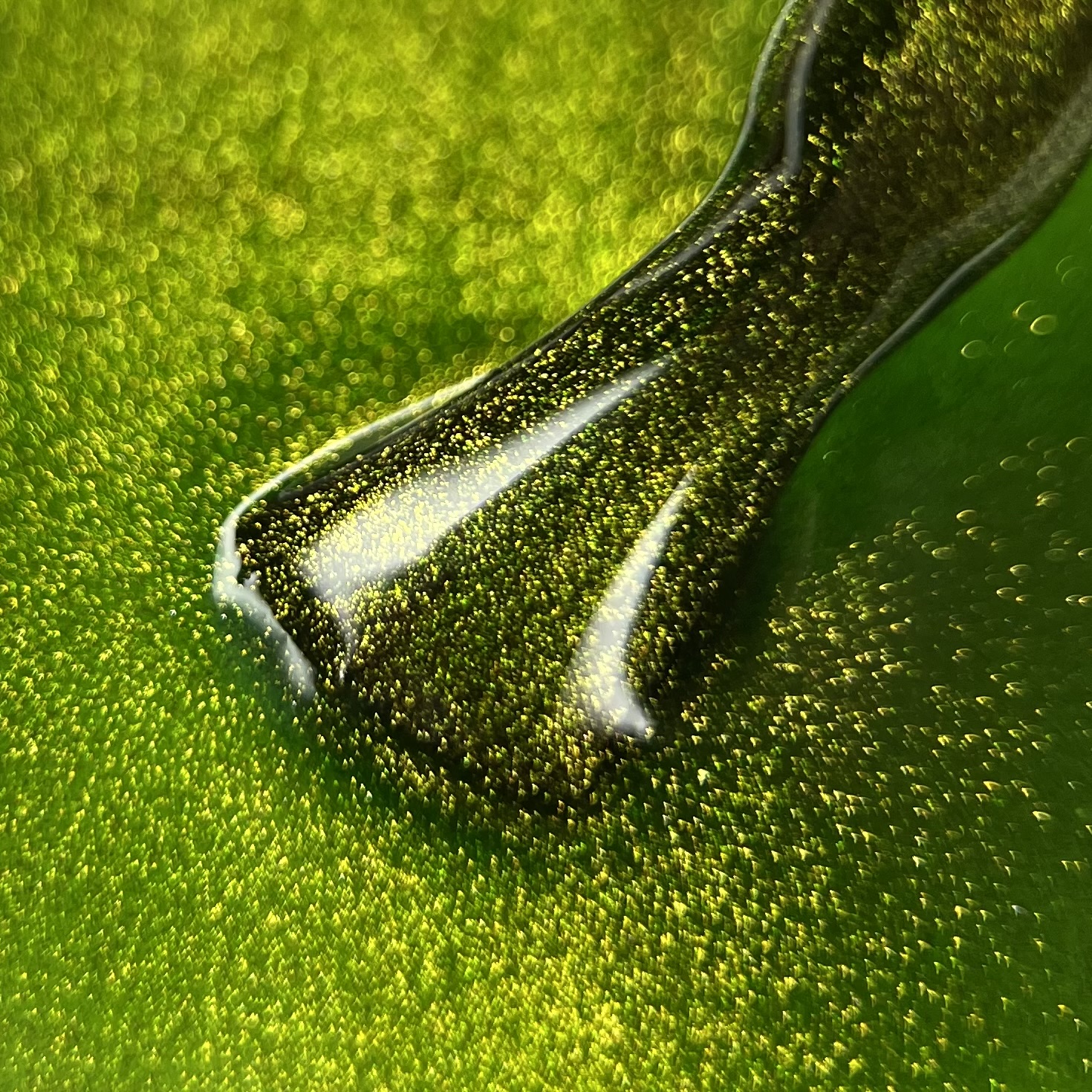 Гель-лак Cat eye 05 (Rozmaryn) Nika Zemlyanikina, 10 мл