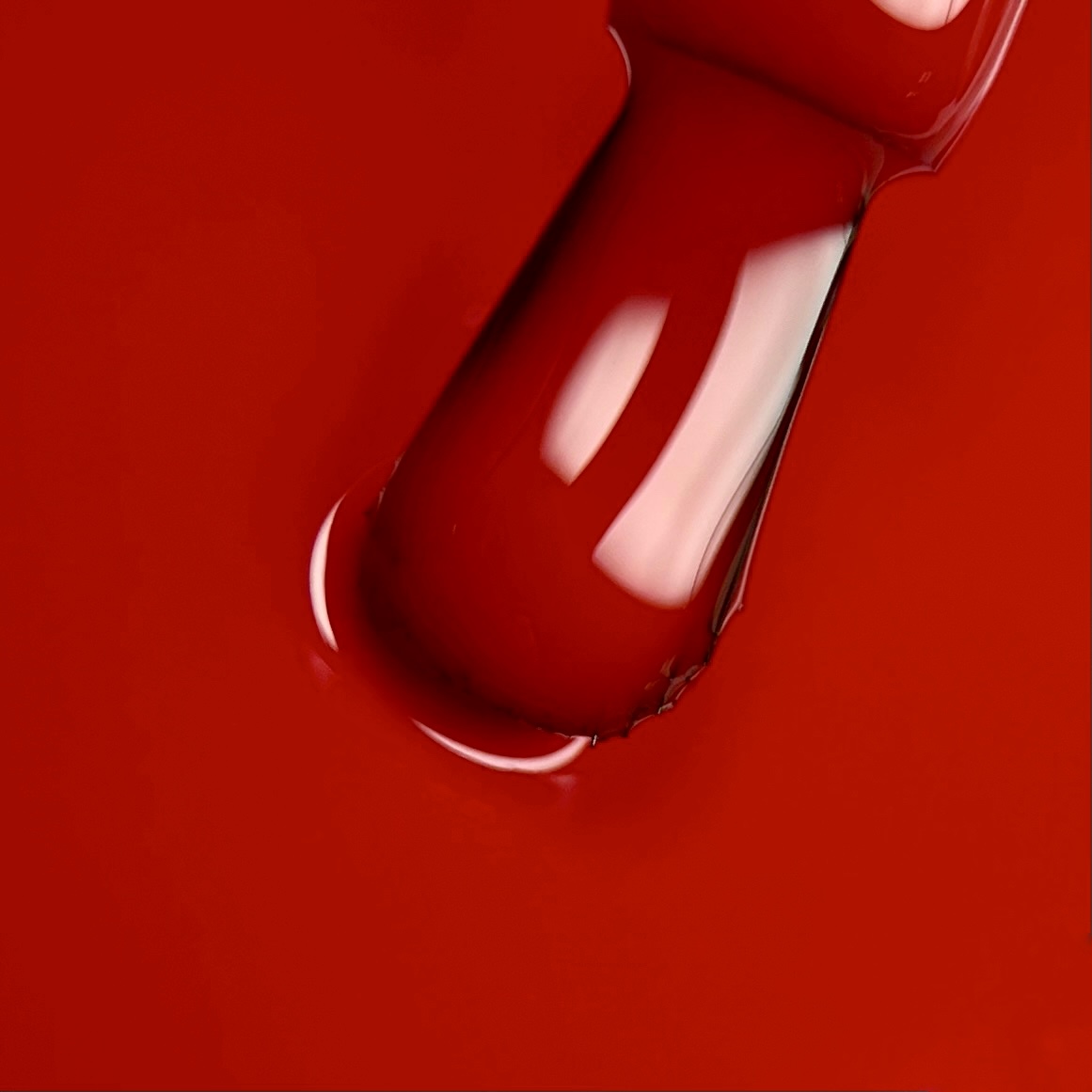 Гель-лак N.Z. the gel polish 119, 6 мл