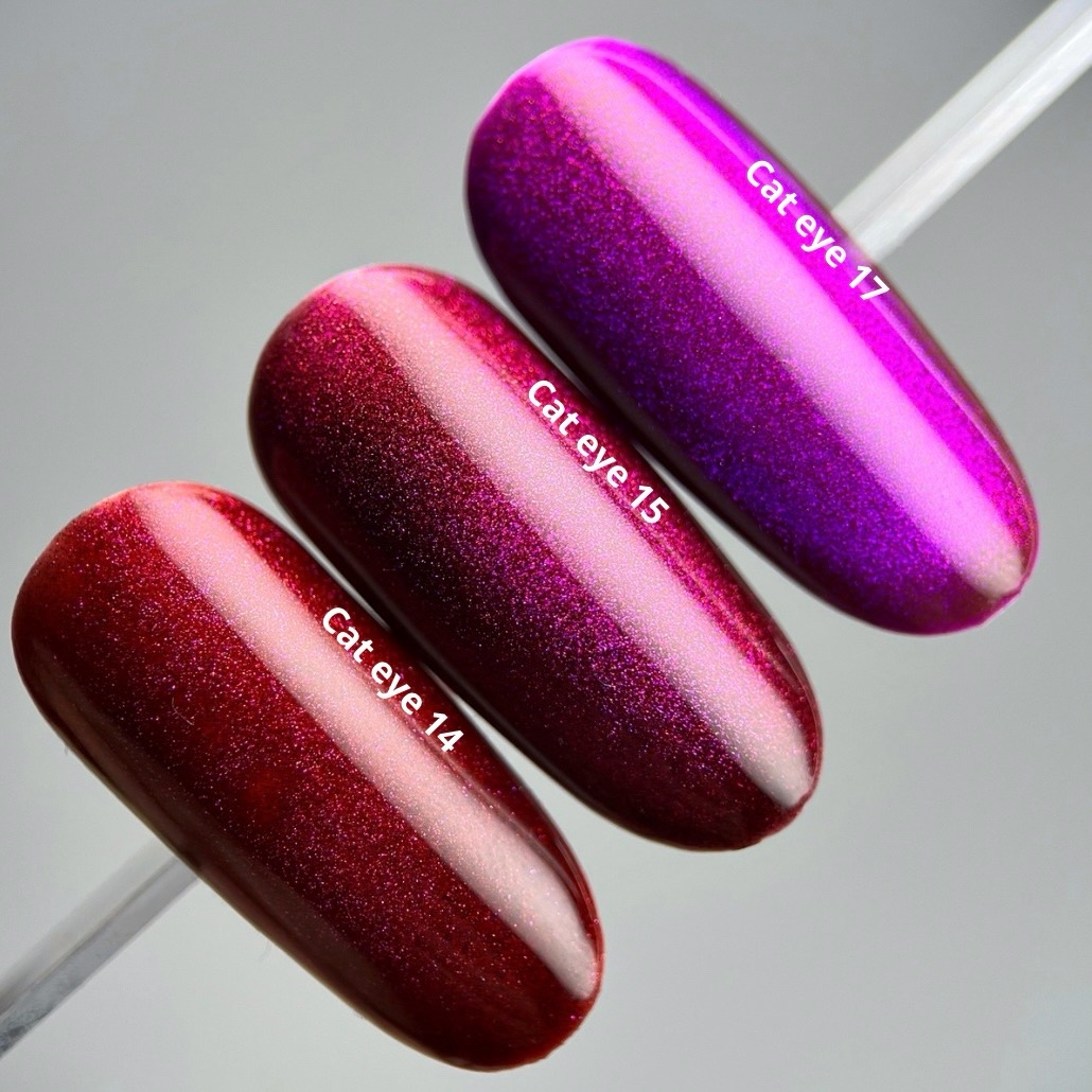 Гель-лак Premium Gel Polish Nika Zemlyanikina Cat eye 15, 10 мл